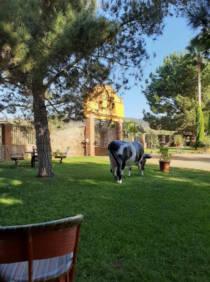 Хостел Rancho El Campanario En La Ruta Del Vino Валье-де-Гуадалупе Экстерьер фото